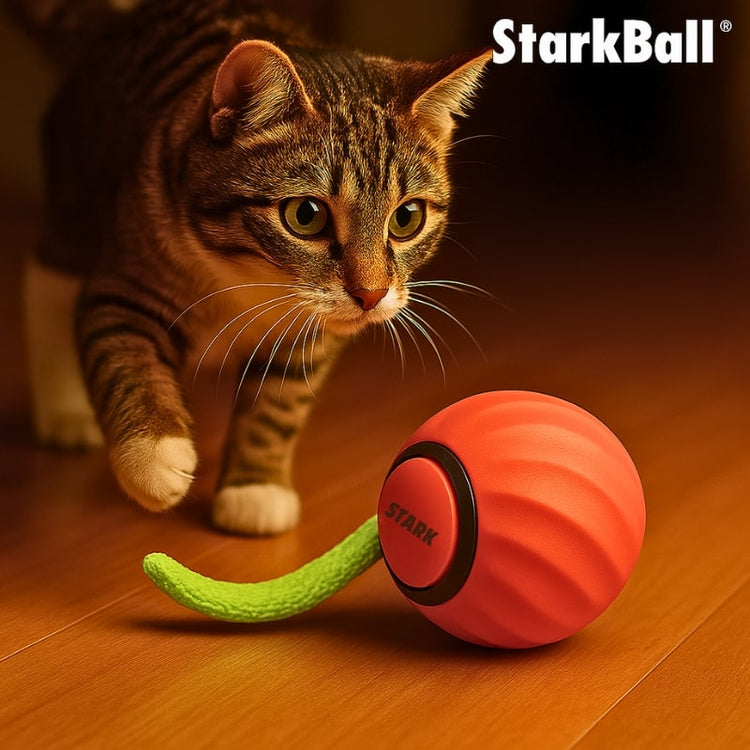 StarkBall™ 2.0