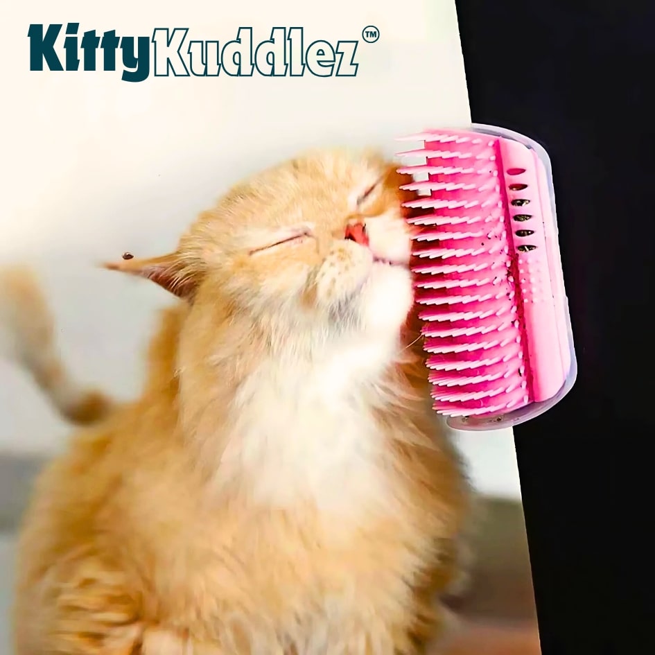 Rasguño de gatito
