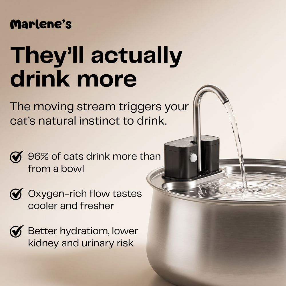 Wireless Stainless Steel Water Fountain