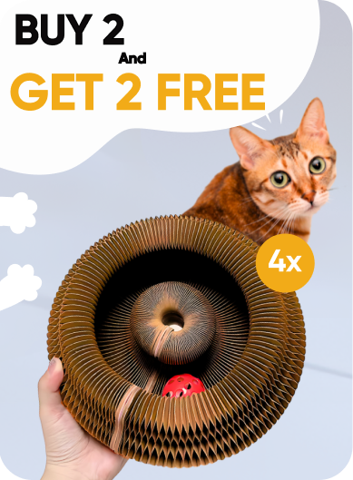Bundle Option Image