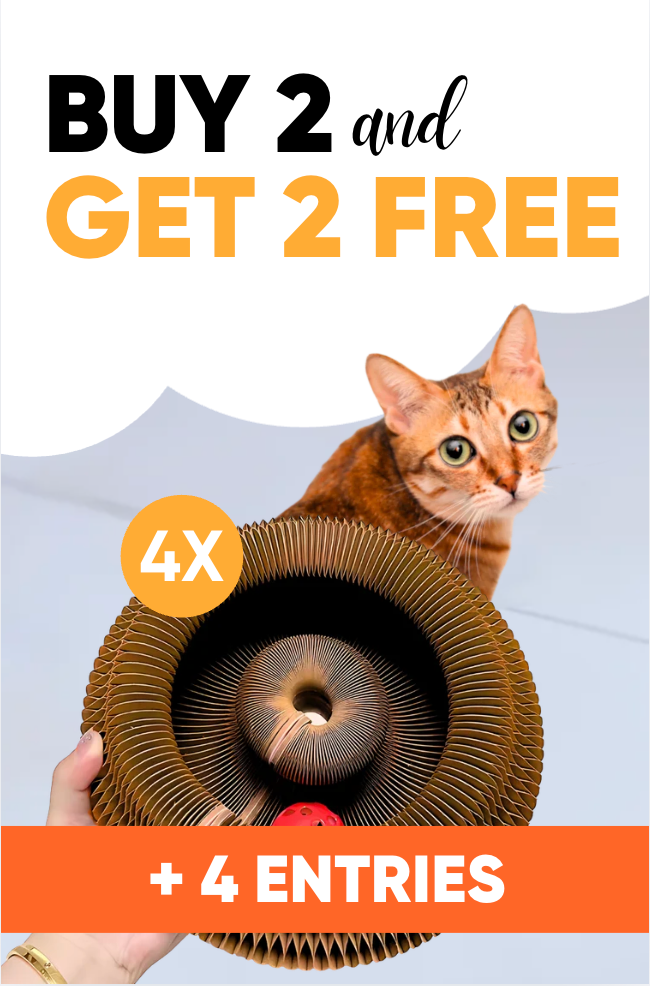 4 entries kitty wheelz