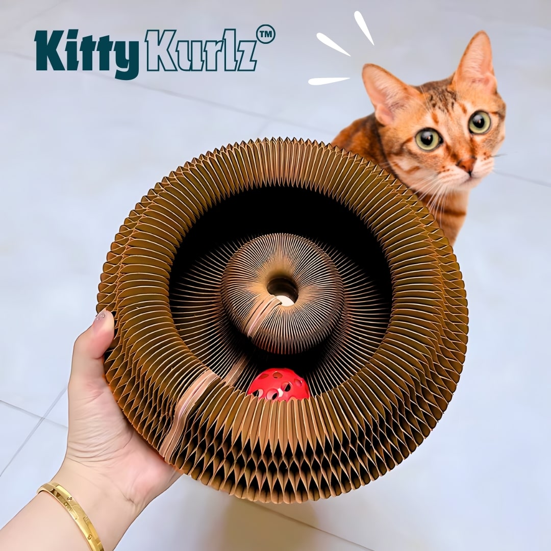 Kitty Kurlz™ – Marlene's Pet Shop