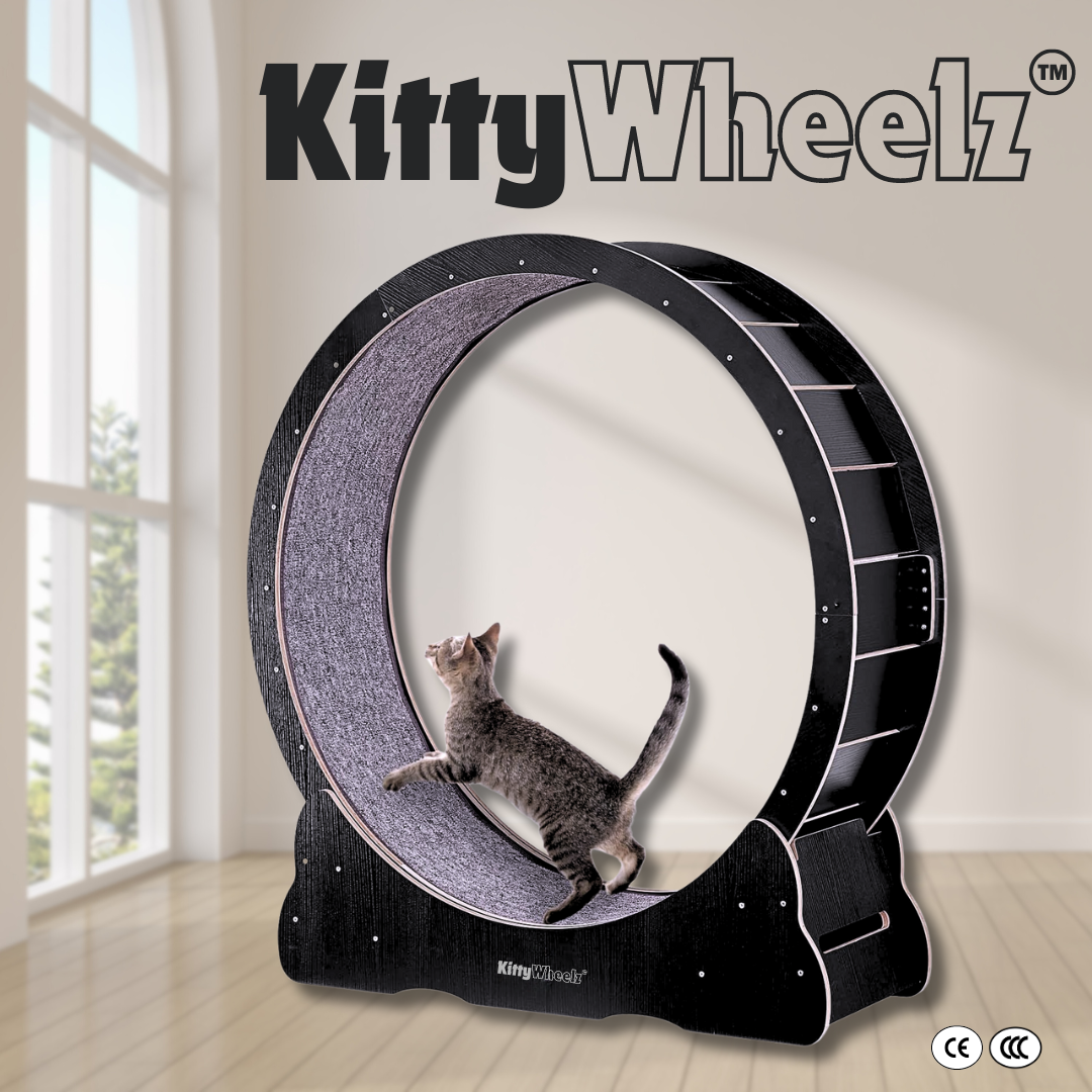 Ruedas para gatos™