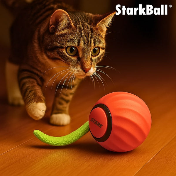 【新品・未使用】ストン・アート　marbell 　cat　大 StarkBall™ – Marlene's Pet Shop