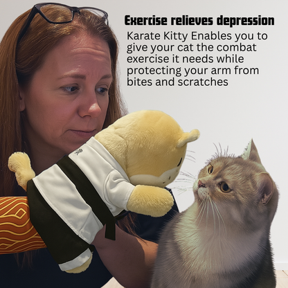 Karate Kitty™