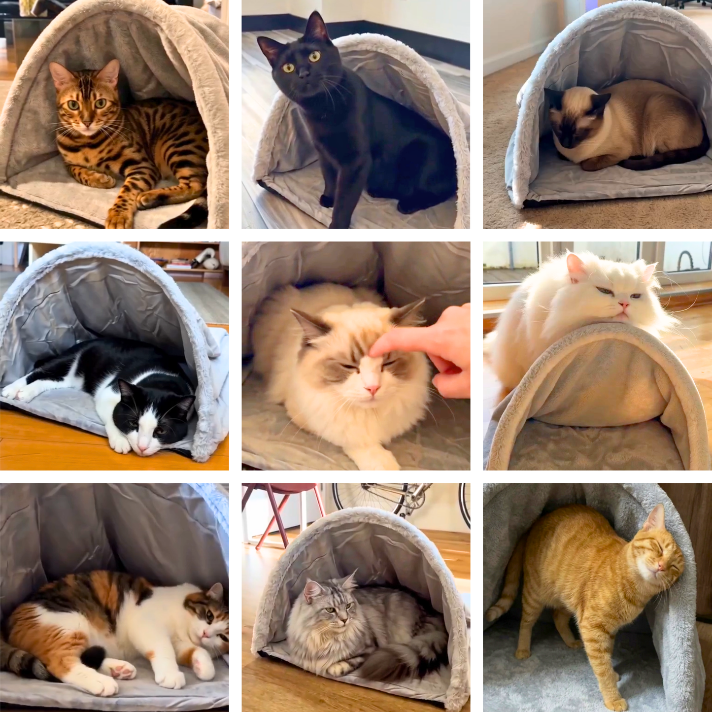SUMU Cave™