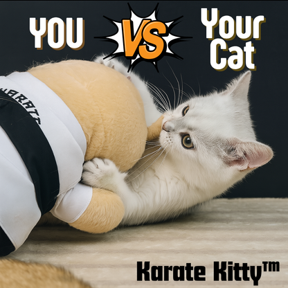 Karate Kitty™