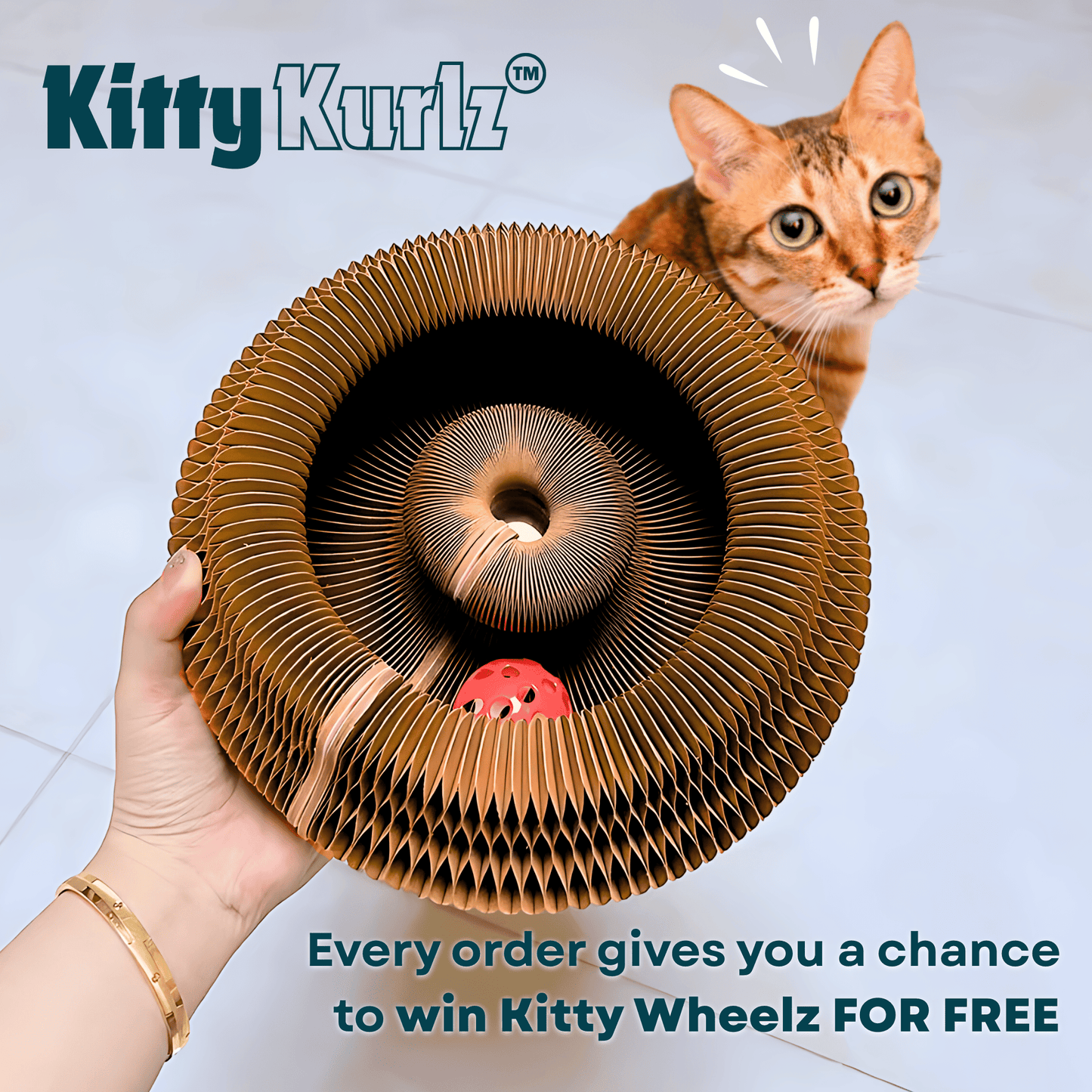 Kitty Kurlz™ (Entries)