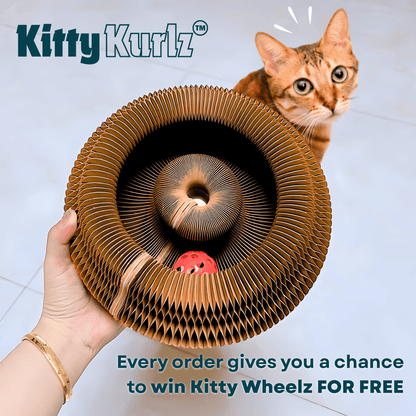 Kitty Kurlz™ (Entries)
