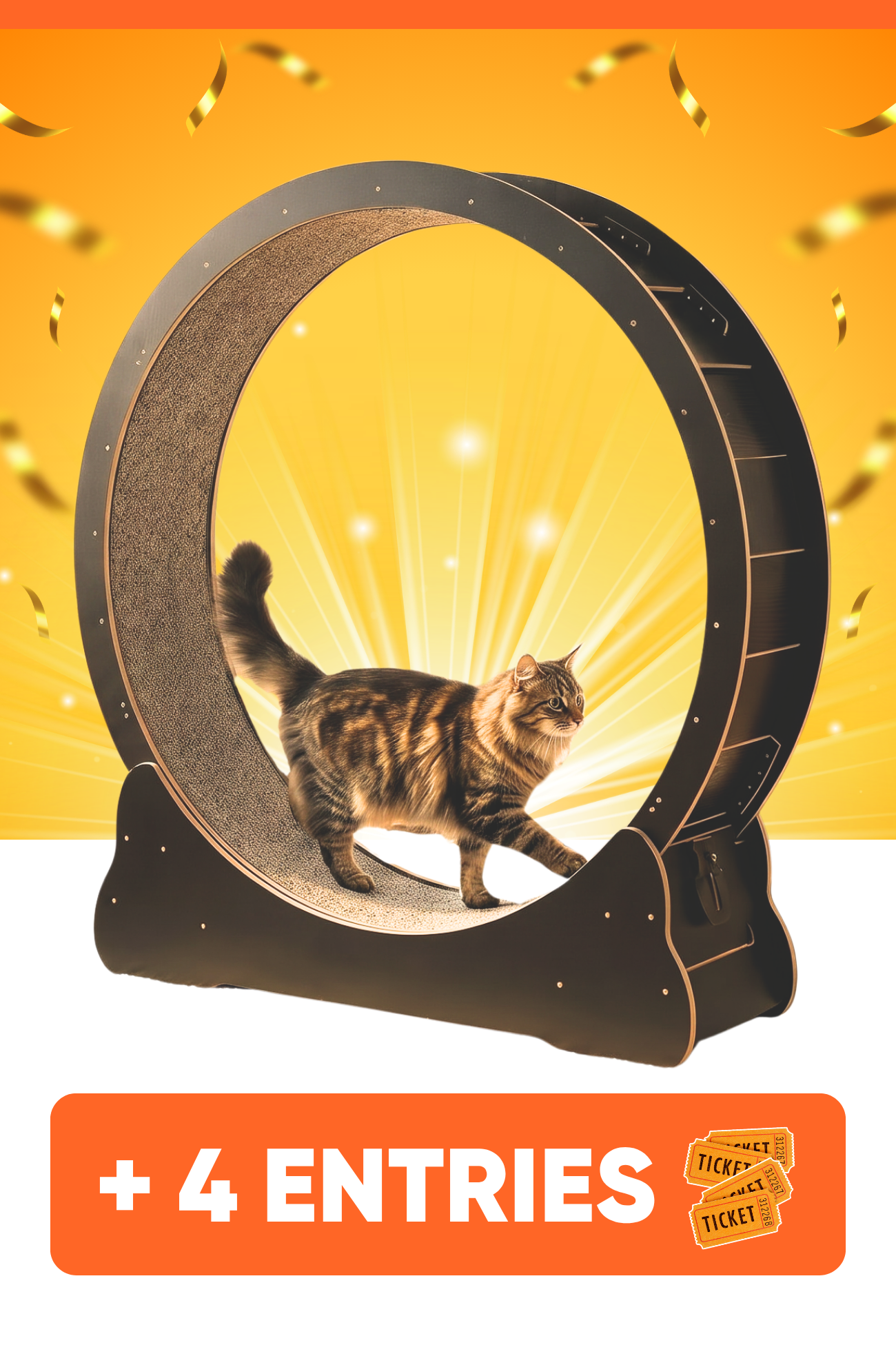 FREE CHANCE to win Kitty Wheelz