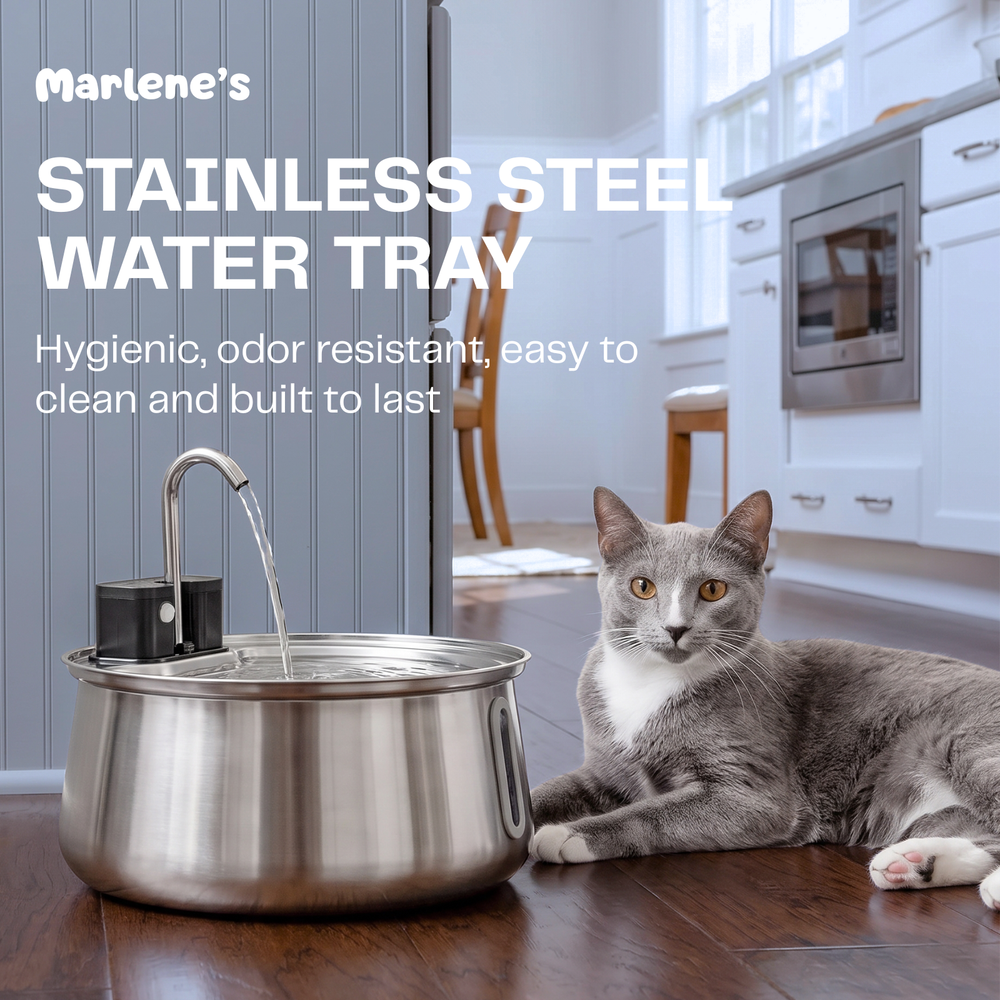 Wireless Stainless Steel Water Fountain