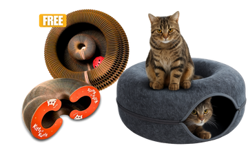 BOGO + Kitty Napz™