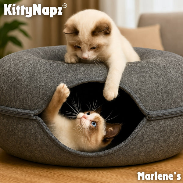 5-min_91acc215-df4f-45f7-aea2-