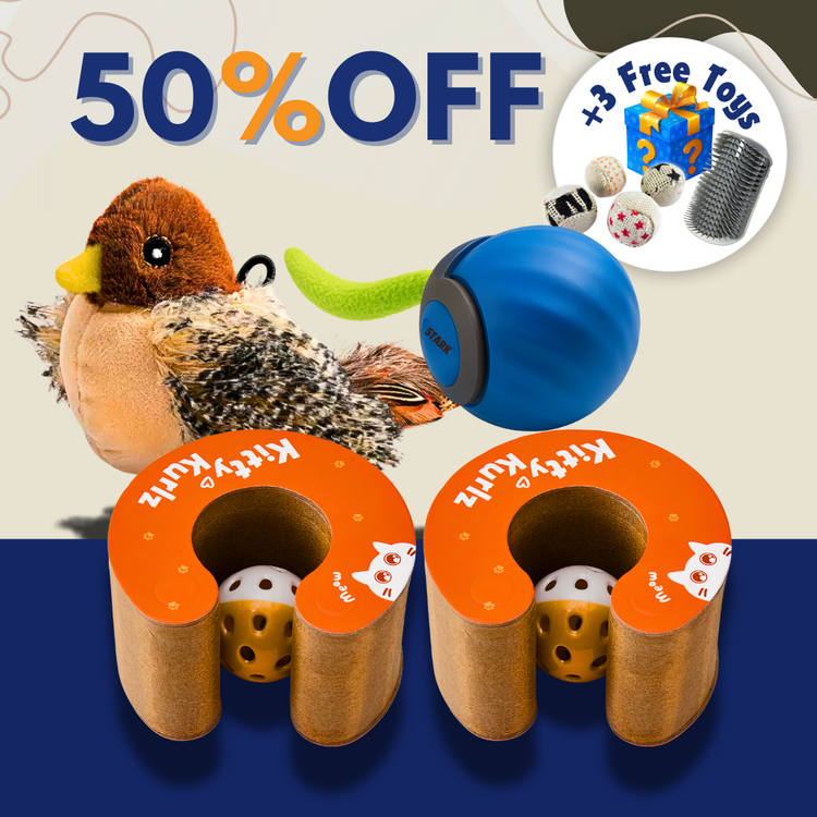 Kitty Kurlz Value Bundle