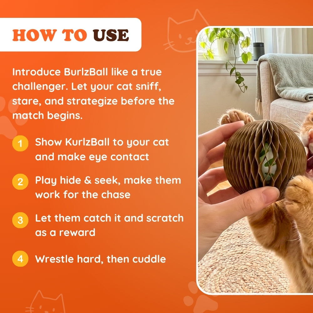 KurlzBall™