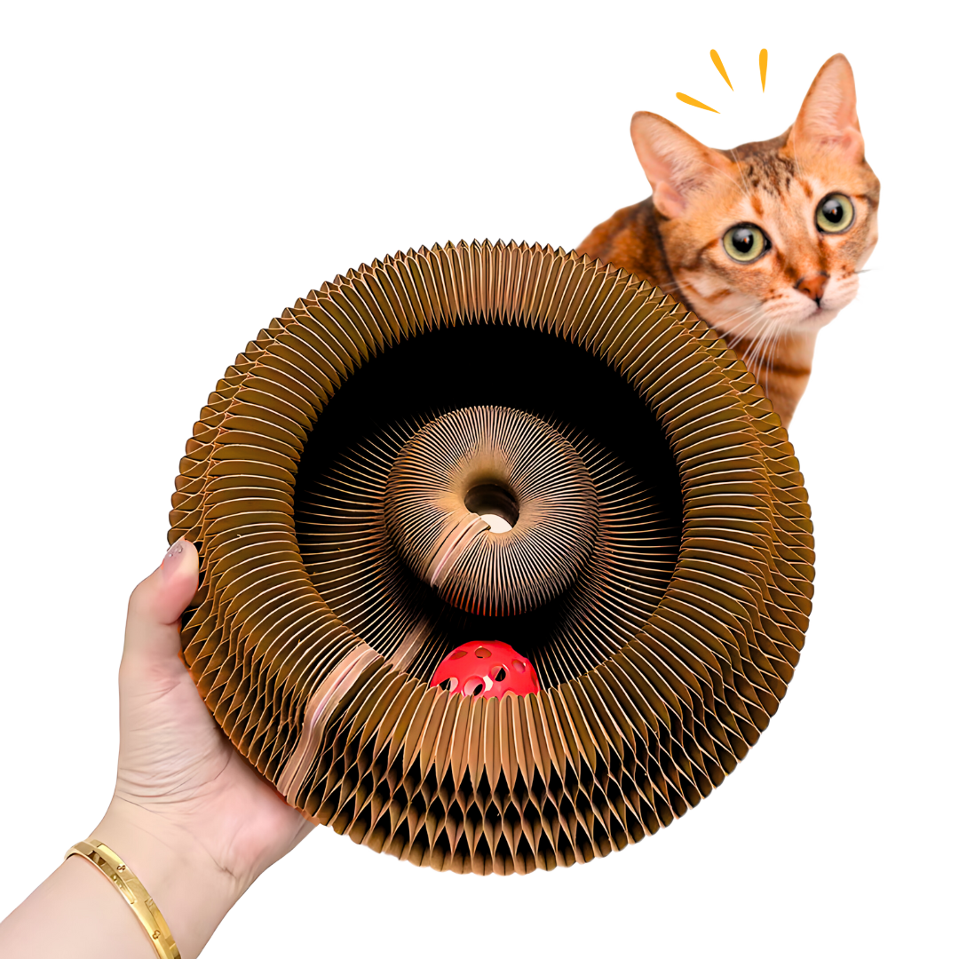 Kitty Kurlz toy