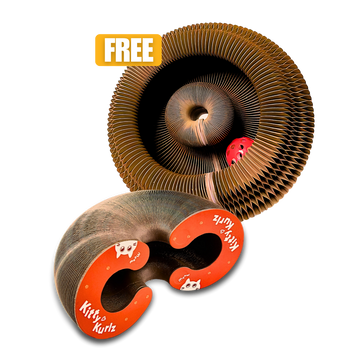 BUY 1 GET 1 FREE [BOGO]