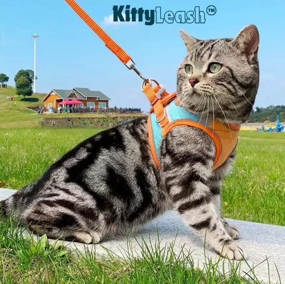 Kitty Leash™