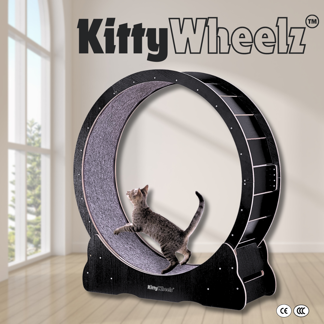 Kitty Wheelz™