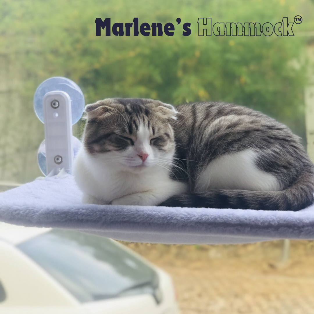 Marlene’s Signature Hammock™