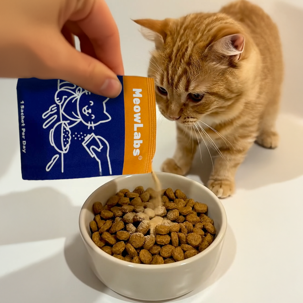 Blue Lagoon By MeowLabs™