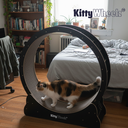 Ruedas para gatos™