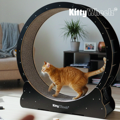 Ruedas para gatos™