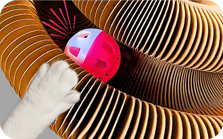 Durable cat scratcher with built-in ball