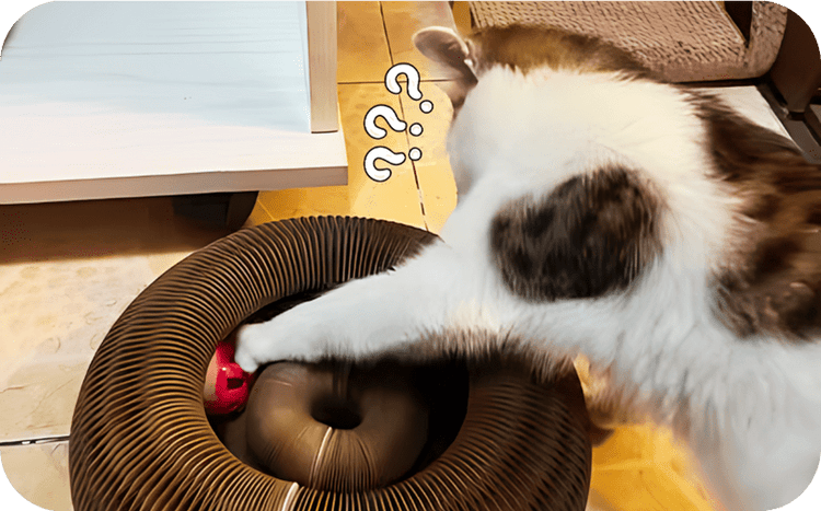Cat playing inside interactive donut scratcher