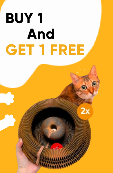 Kitty Kurlz™ [BUY 1 GET 1 FREE]