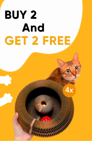 Kitty Kurlz™ [BUY 2 GET 2 FREE]