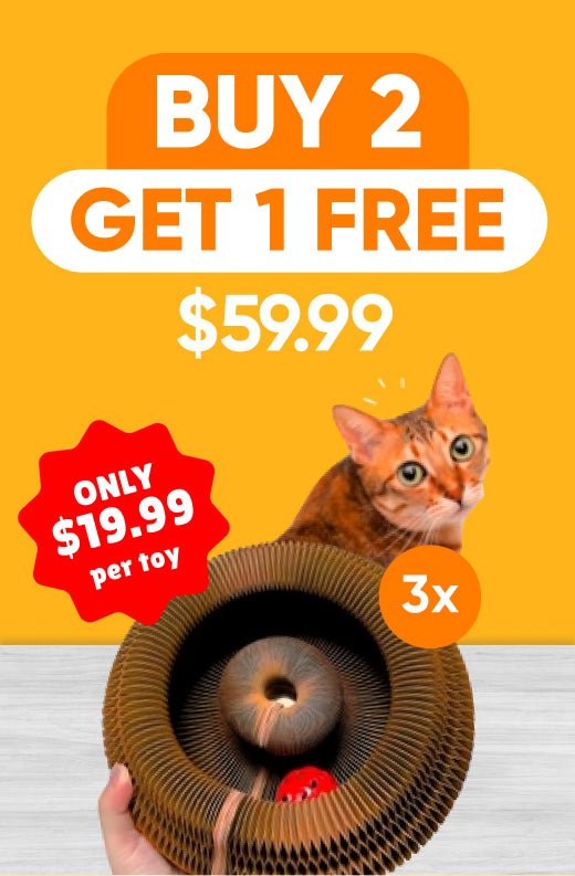 Kitty Kurlz™ - Buy 2 Get 1 FREE