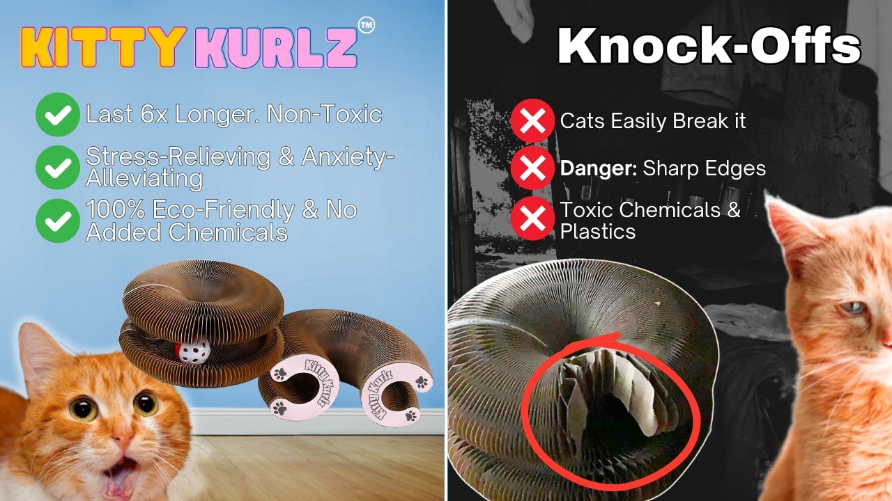 https://marlenespetshop.com/cdn/shop/files/kitty_wheelz_pics_2_-min.jpg?v=1720628520&width=1280 Kitty Kurlz