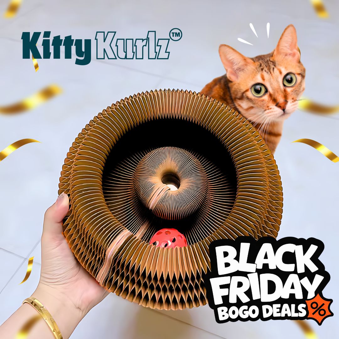 Kitty Kurlz™