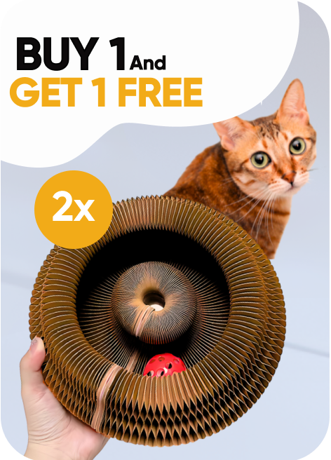 Kitty Kurlz™ [BUY 1 GET 1 FREE]