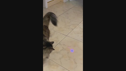 Blue Kitty™