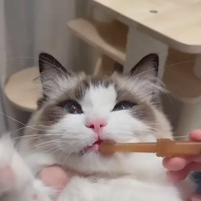 Cat Tooth Brush