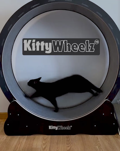 Kitty Wheelz™