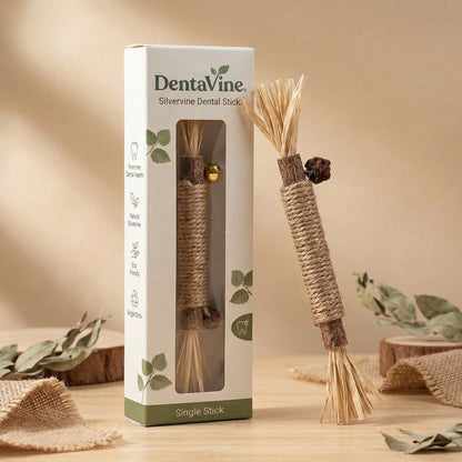 DentaVine™ [Silvervine Dental Stick]