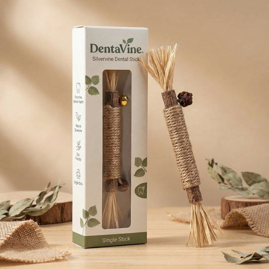 DentaVine™ (Silvervine Dental Stick)