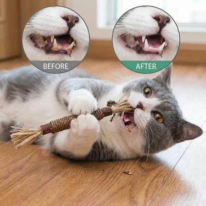 DentaVine™ [Silvervine Dental Stick]