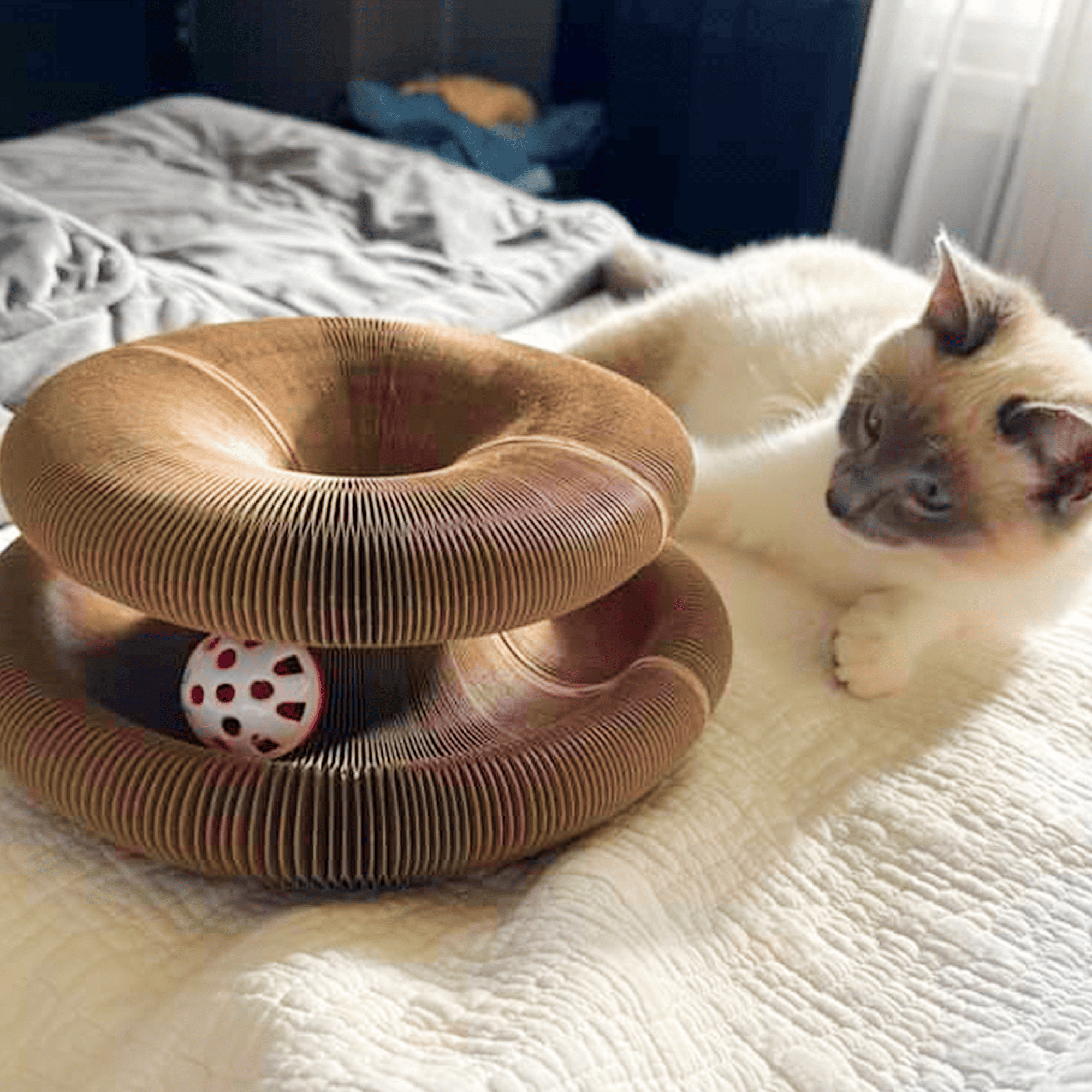 15 minutes with this scratcher is like 7h of therapy for cats.