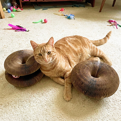 Kitty Kurlz