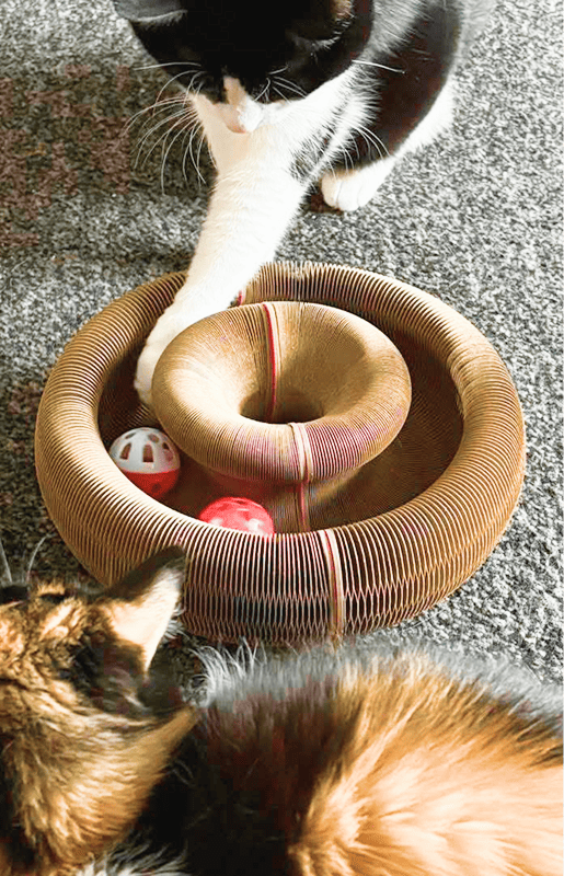 Customer cat with Kitty Kurlz