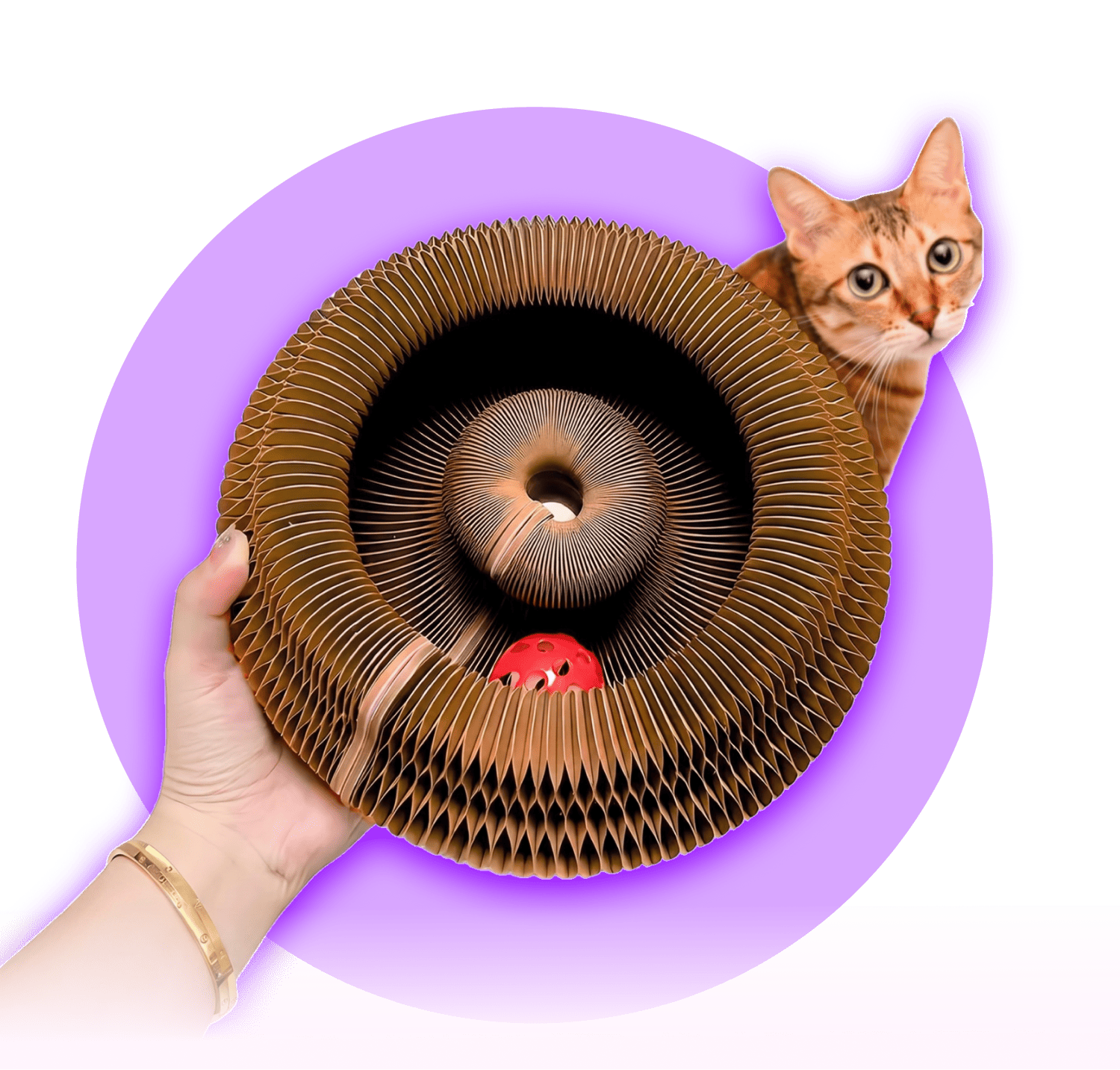 Kitty Kurlz