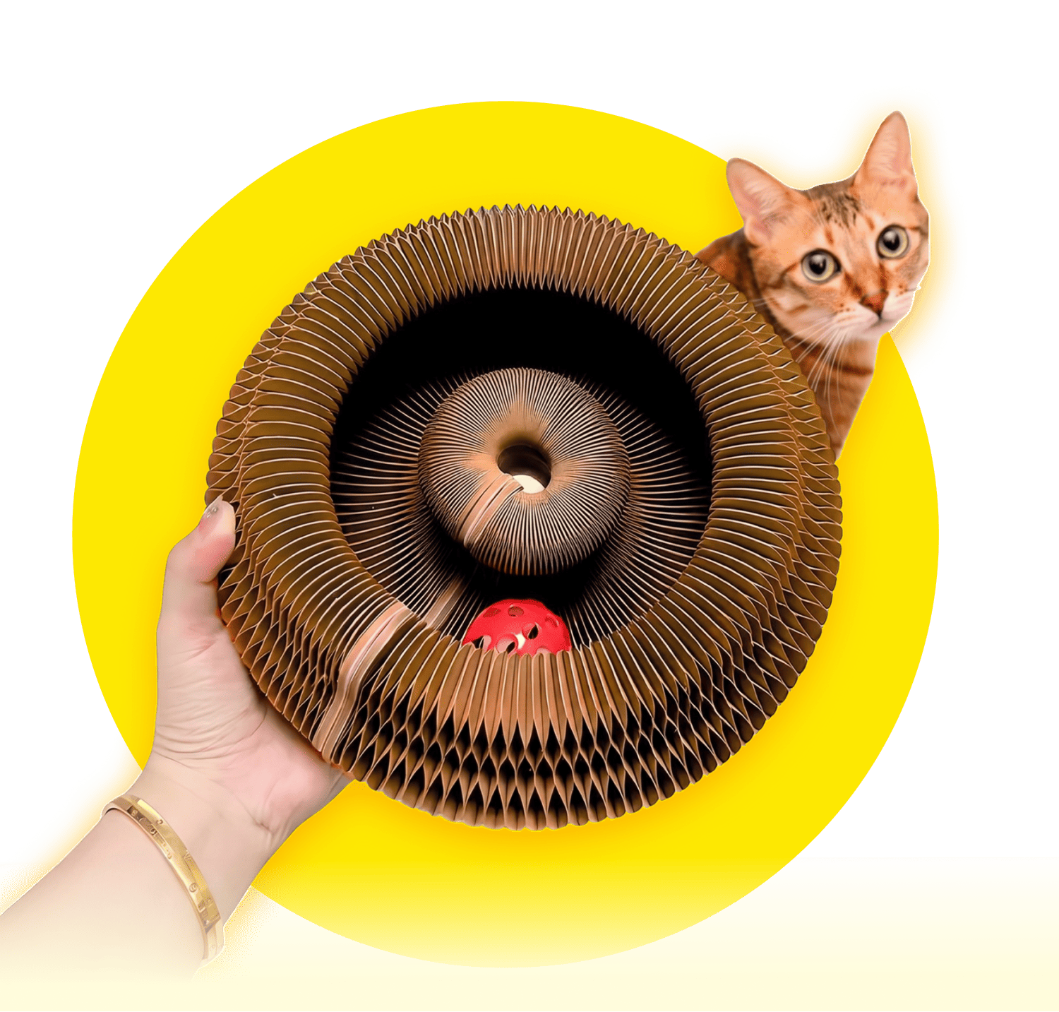 Kitty Kurlz