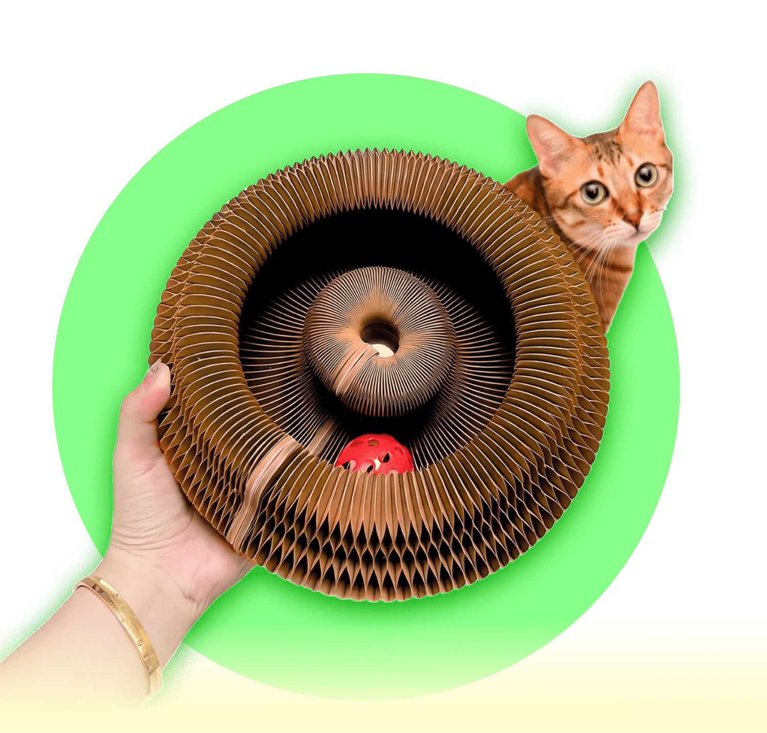 Kitty Kurlz