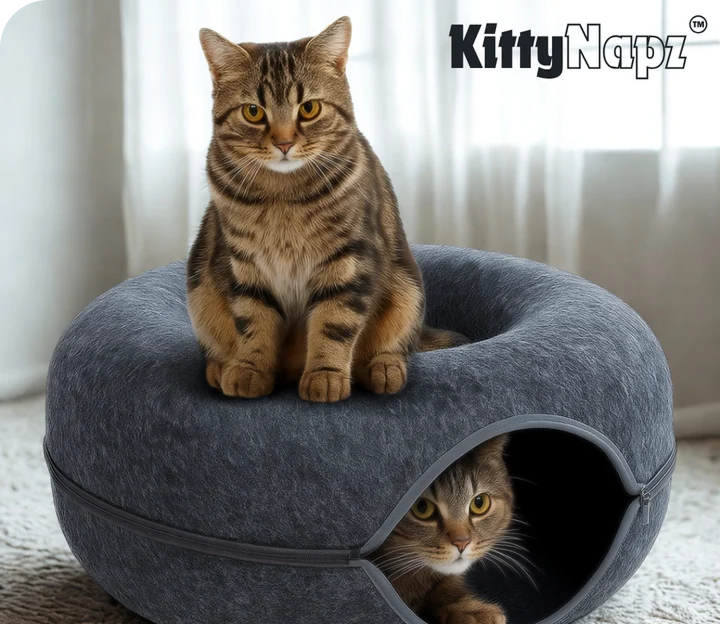 Cat Cave
