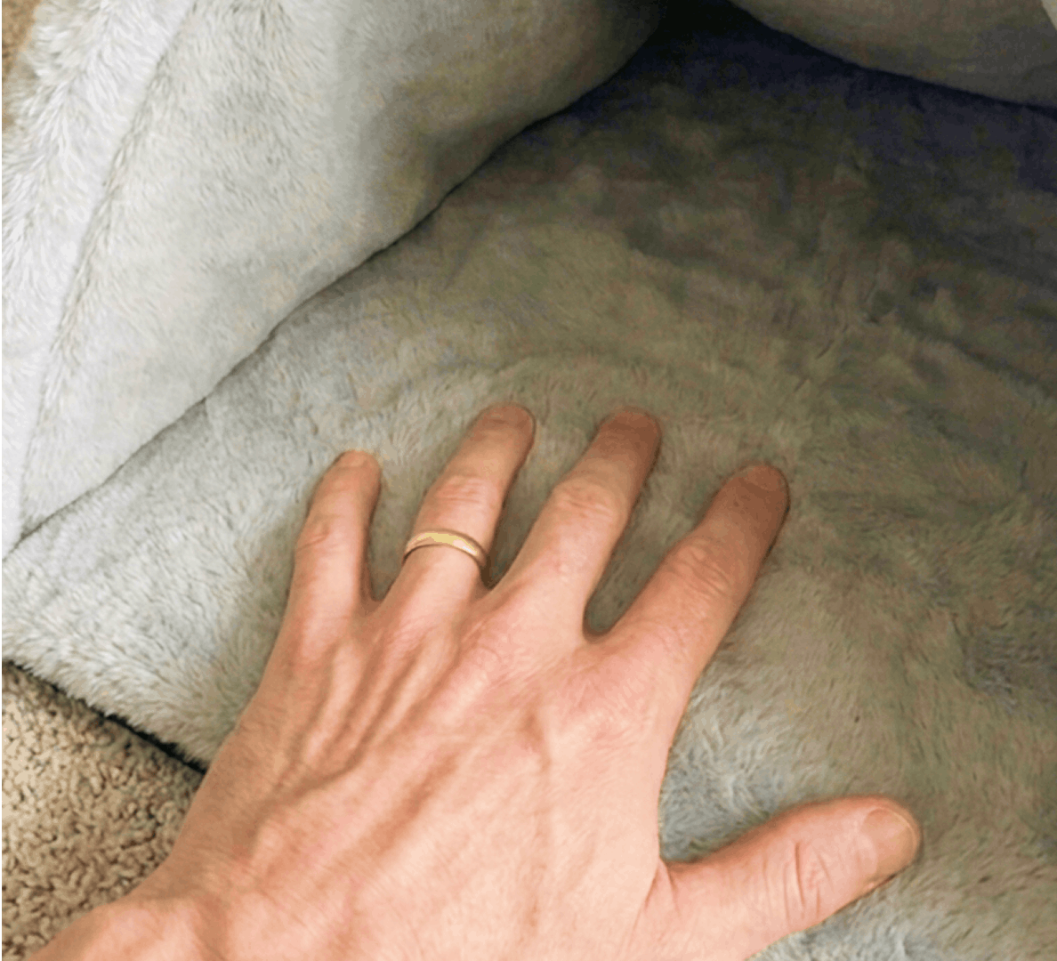Rabbit Fur Lining
