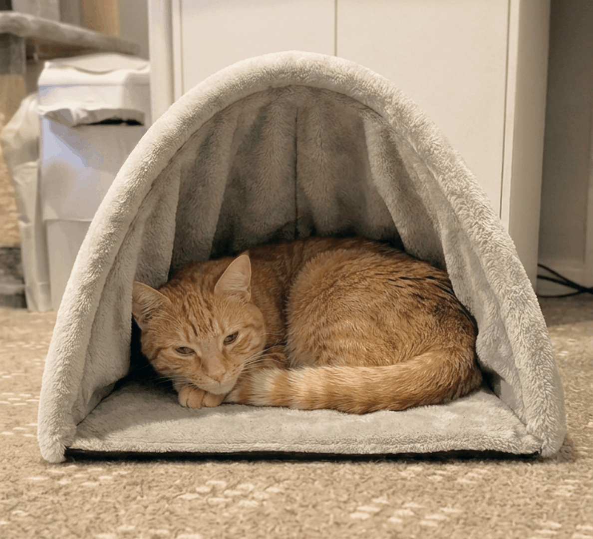 Enclosed Space